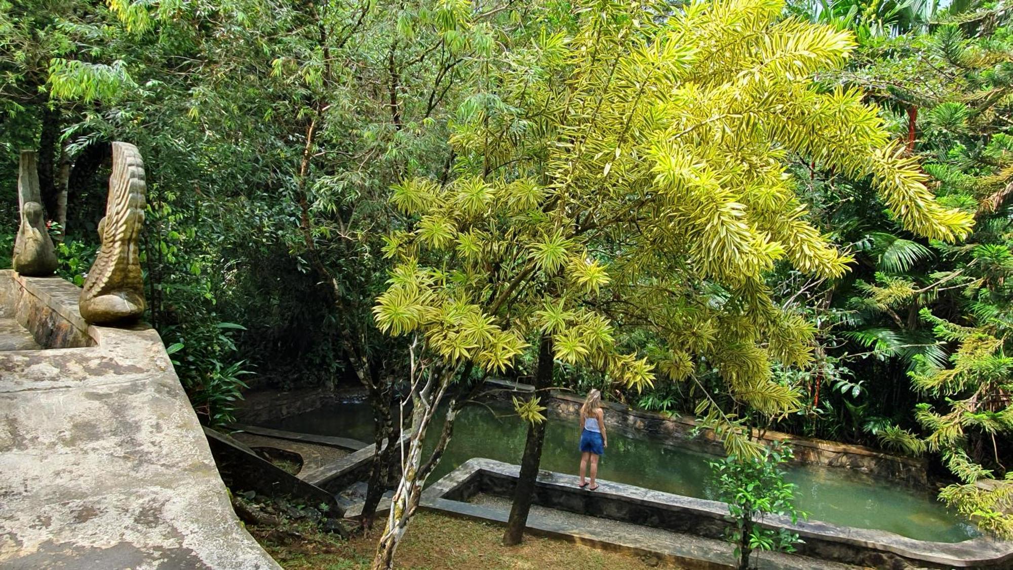 Singharaja Garden Agro Eco Lodge Pelawatta  Buitenkant foto