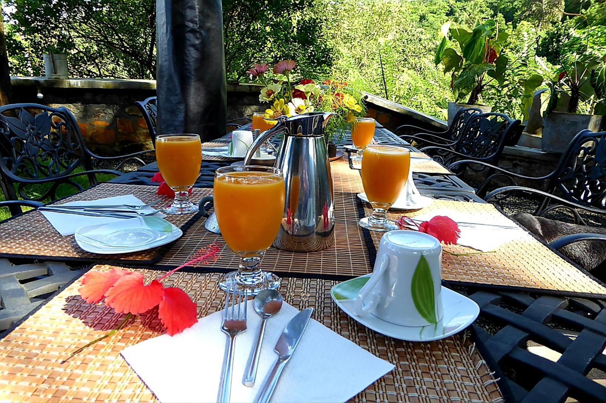 Singharaja Garden Agro Eco Lodge Pelawatta  Buitenkant foto