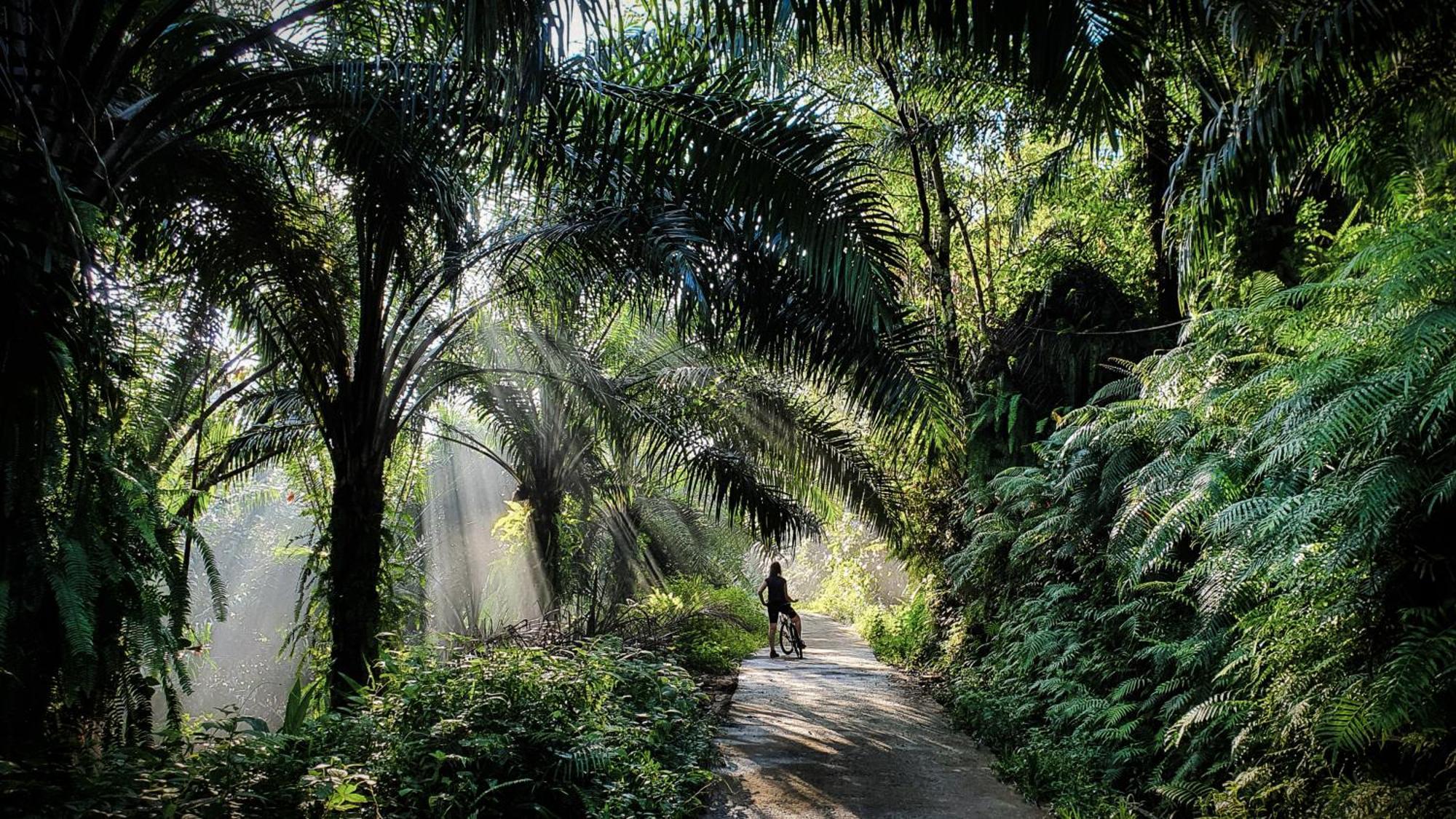 Singharaja Garden Agro Eco Lodge Pelawatta  Buitenkant foto