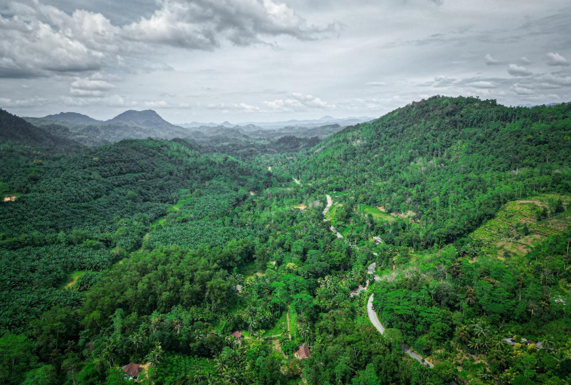 Singharaja Garden Agro Eco Lodge Pelawatta  Buitenkant foto