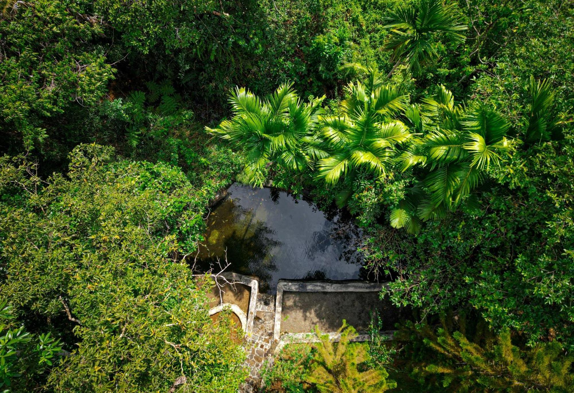 Singharaja Garden Agro Eco Lodge Pelawatta  Buitenkant foto