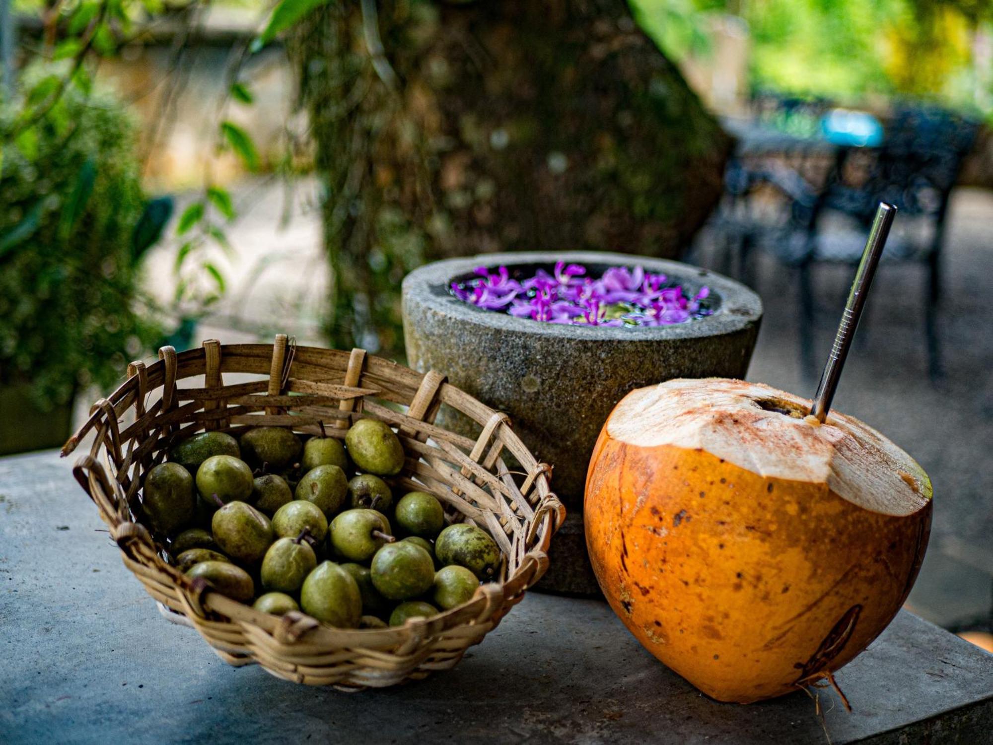 Singharaja Garden Agro Eco Lodge Pelawatta  Buitenkant foto