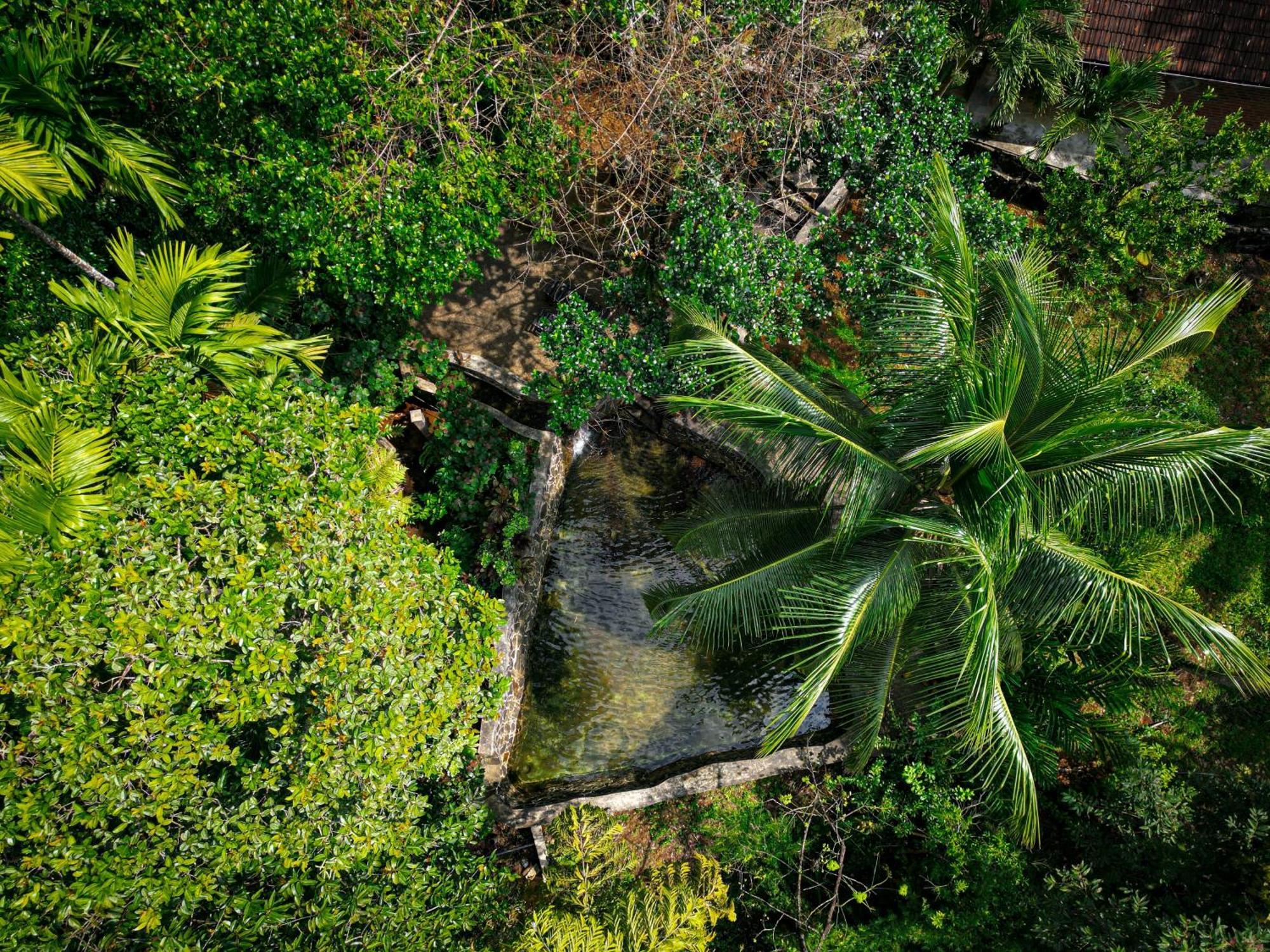 Singharaja Garden Agro Eco Lodge Pelawatta  Buitenkant foto