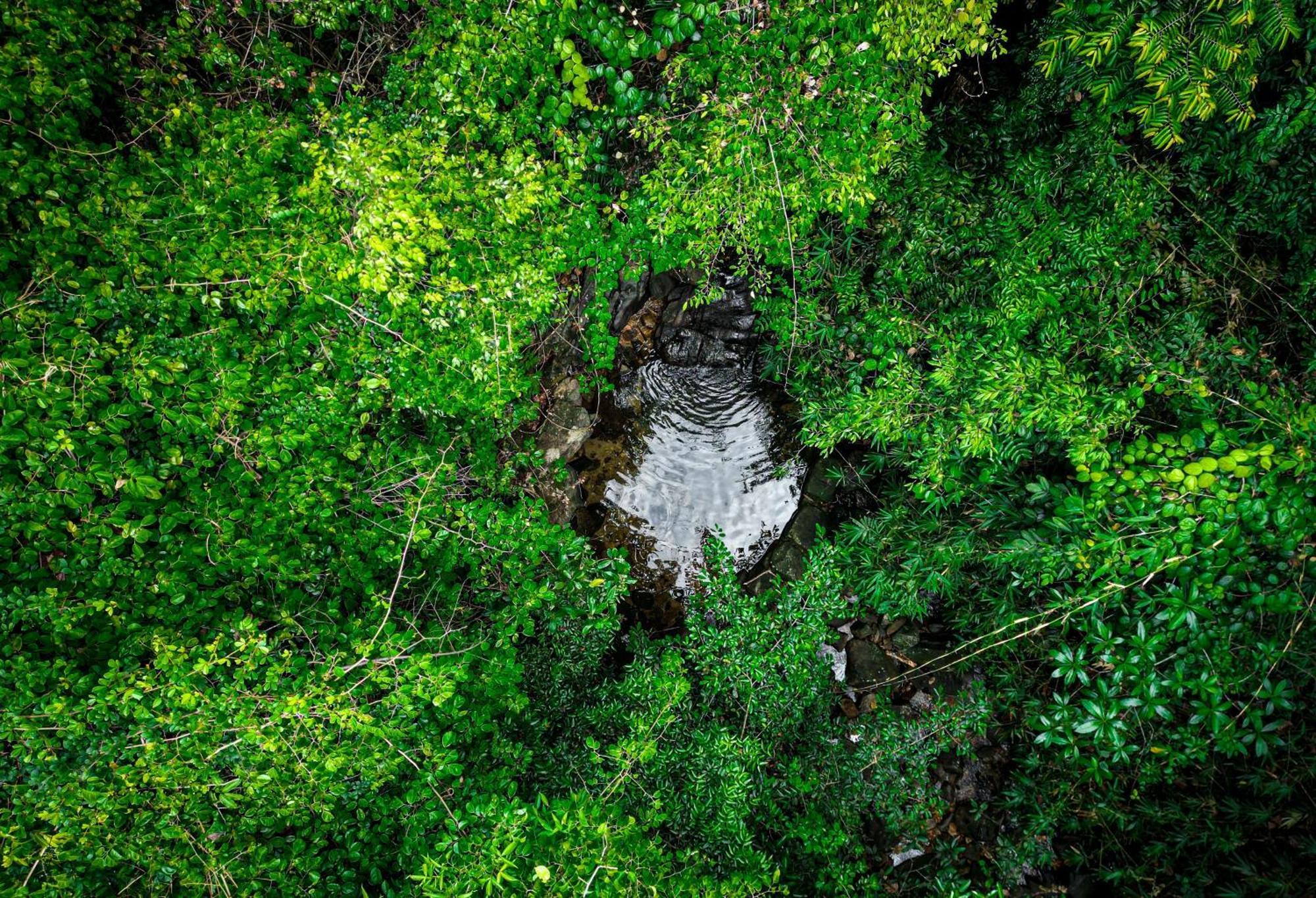 Singharaja Garden Agro Eco Lodge Pelawatta  Buitenkant foto