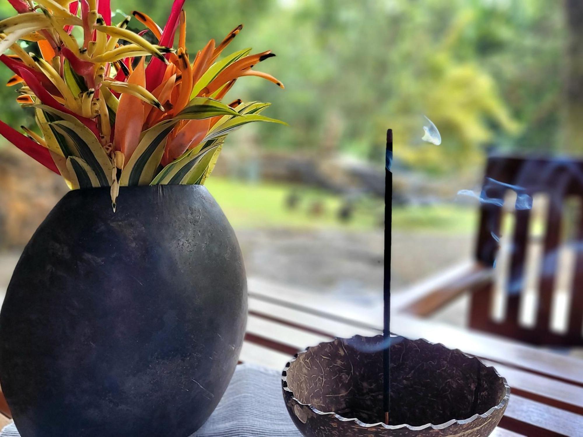 Singharaja Garden Agro Eco Lodge Pelawatta  Kamer foto