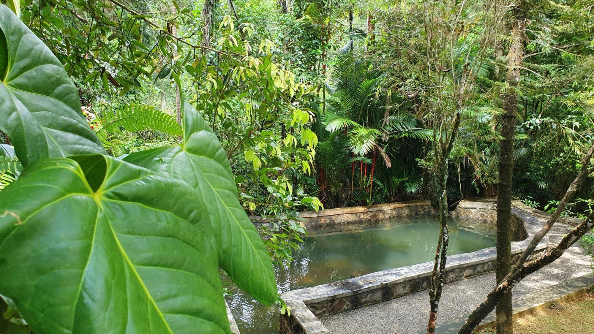 Singharaja Garden Agro Eco Lodge Pelawatta  Kamer foto