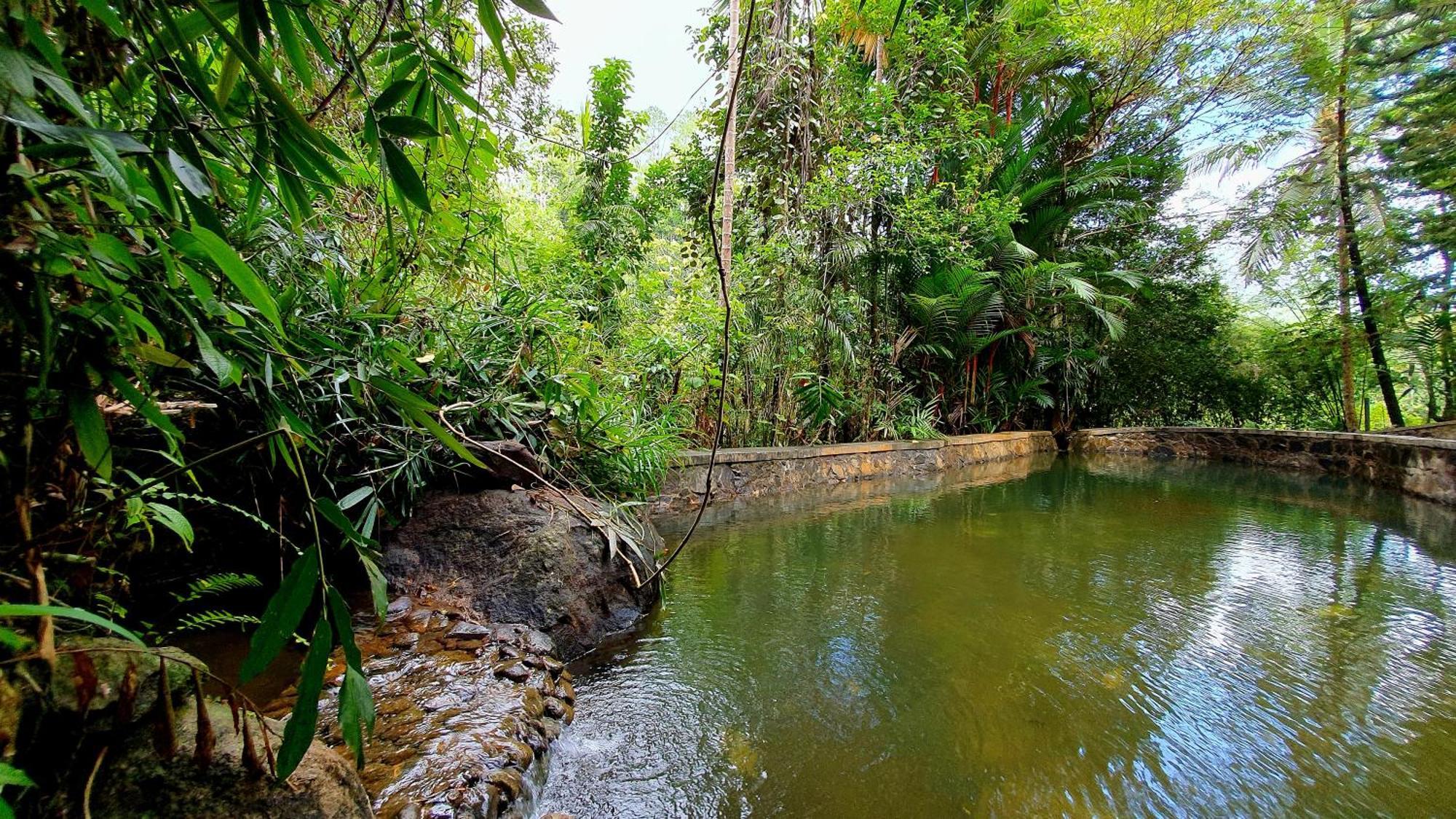 Singharaja Garden Agro Eco Lodge Pelawatta  Kamer foto